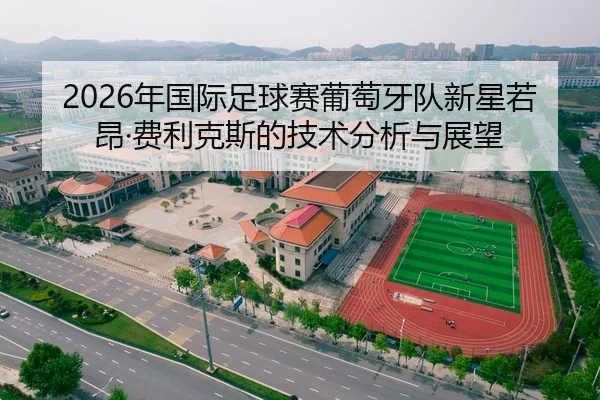 2026年国际足球赛葡萄牙队新星若昂·费利克斯的技术分析与展望