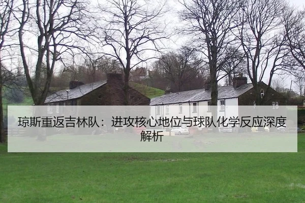 qiong-si-chong-fan-ji-lin-dui-jin-gong-he-xin-di-wei-yu-qiu-dui-hua-xue-fan-ying-shen-du-jie-xi-3-820.jpg